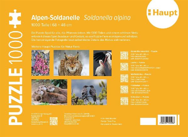 Alpen-Soldanelle - Puzzle. 1000 Teile