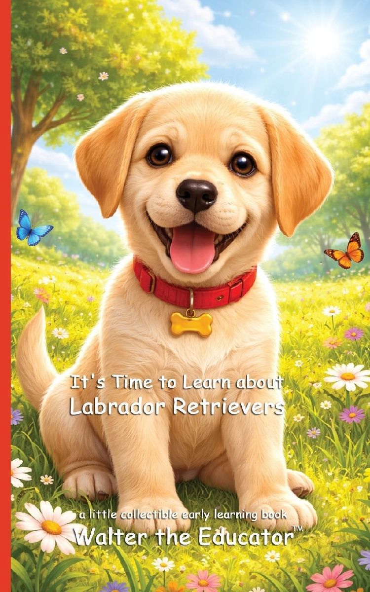 It's Time to Learn about Labrador Retrievers