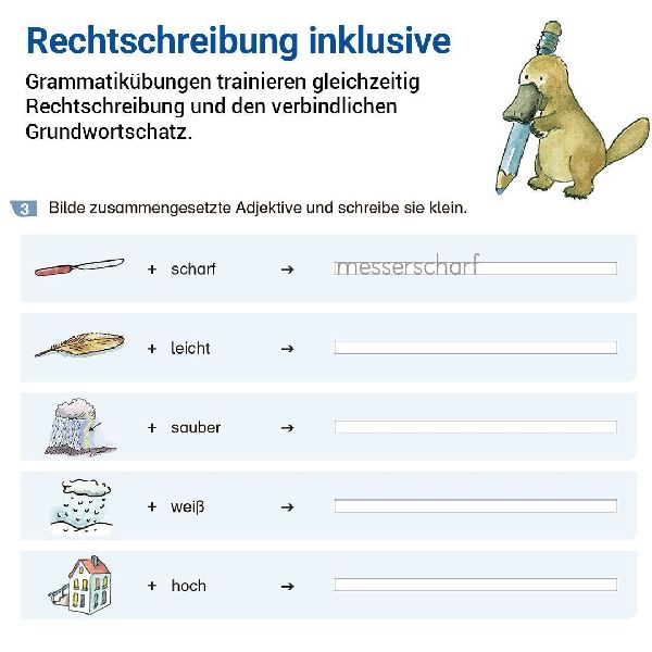 Grammatik mit Rico Schnabel, Klasse 3