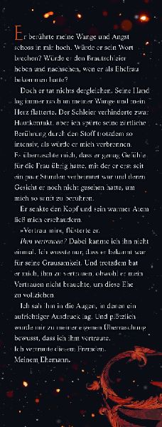 A Fire in the Sky - Feuerschwur-Chroniken, Band 1