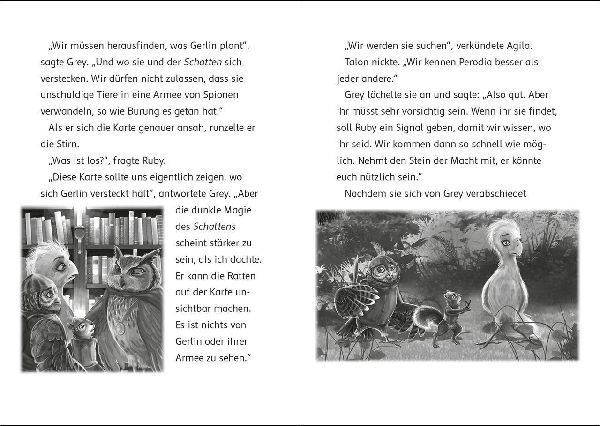Der letzte Feuerfalke und die Rückkehr des Schattens (Band 12)