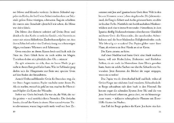 Gwin und die Nacht des Kometen (Band 2)