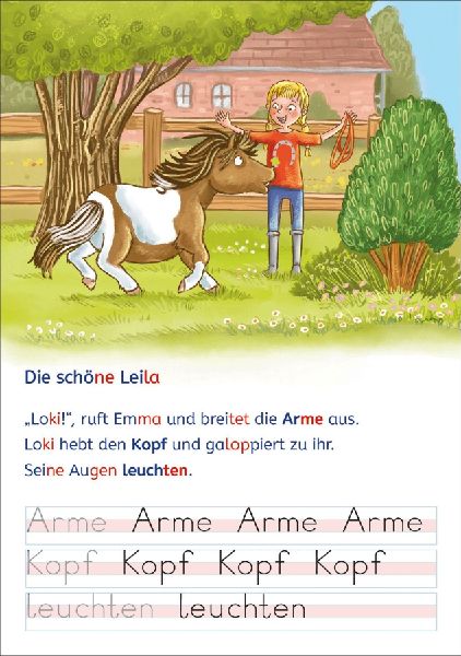 Leselöwen - Lesen und schreiben lernen mit Spurrillen - Eine ponystarke Freundschaft