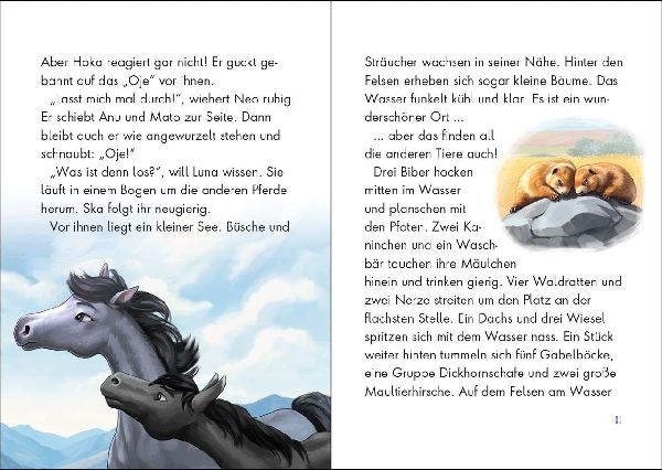 Wildpferde - mutig und frei (Band 6) - Im Revier des Bären