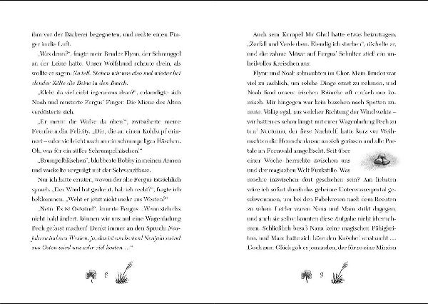 Ruby Fairygale (Band 8) - Das Buch der vergessenen Wunder