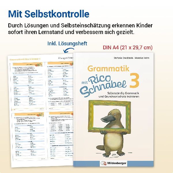 Grammatik mit Rico Schnabel, Klasse 3