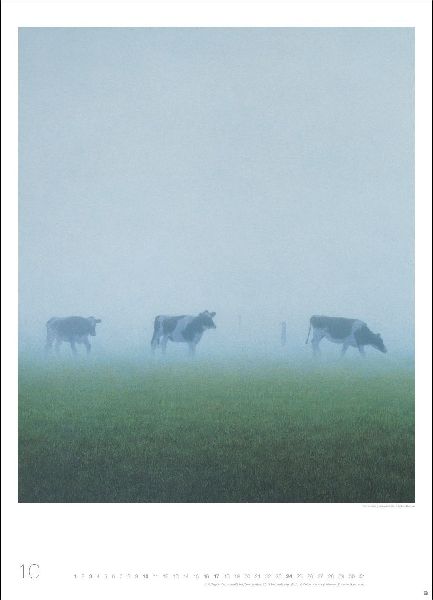 Quint Buchholz: Augenblicke Kalender 2027