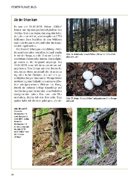 Der Uhu in Bayern