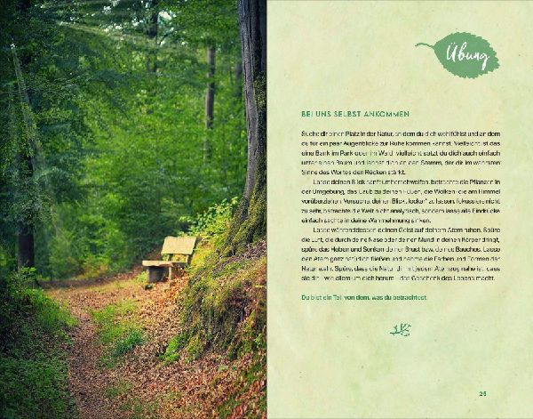 Kraftort Natur