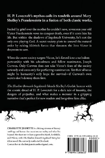 The Shadow Beneath Ingolstadt