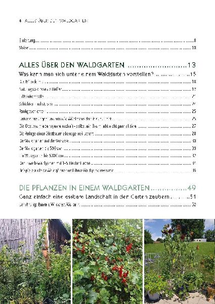 Dein Weg zum essbaren Waldgarten