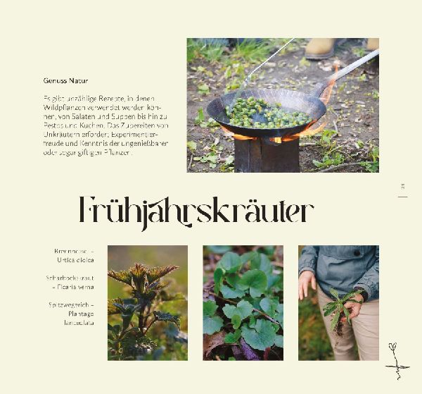 Faszination Wildkräuter