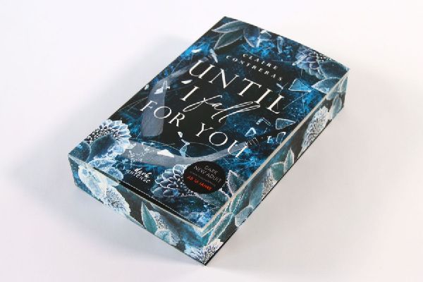 Until I Fall For You (Fairview Hockey, Band 2)
