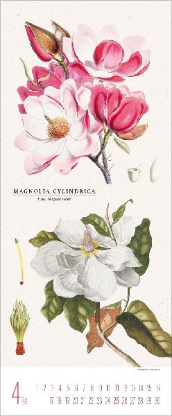 Botanicum 2027