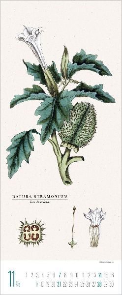 Botanicum 2027