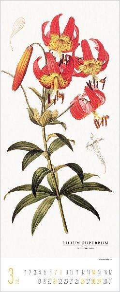 Botanicum 2027