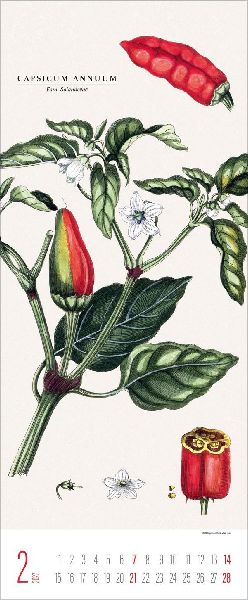 Botanicum 2027