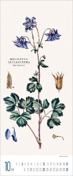 Botanicum 2027
