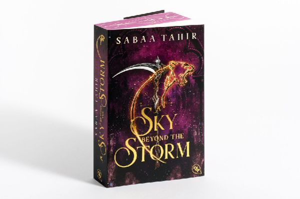 A Sky Beyond the Storm