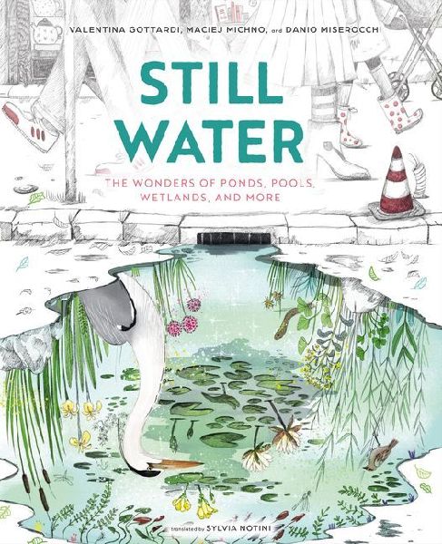 Still Water