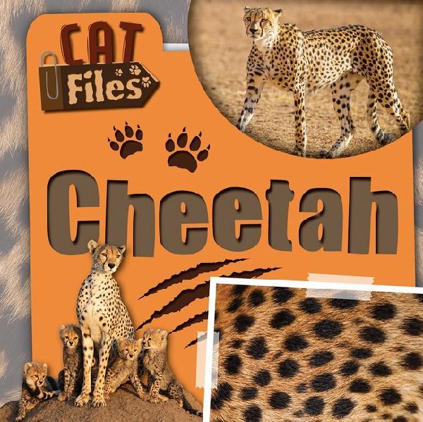 Cheetah
