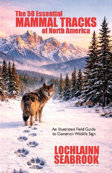 The 50 Essential Mammal Tracks of North America