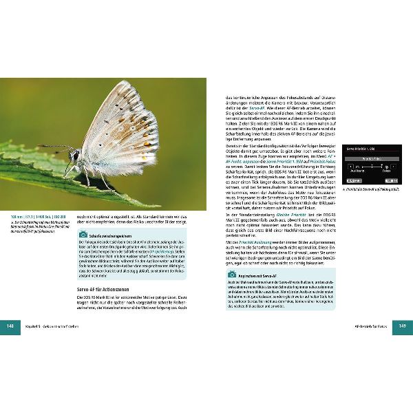 Canon EOS R6 Mark III - Das umfangreiche Praxisbuch zu Ihrer Kamera
