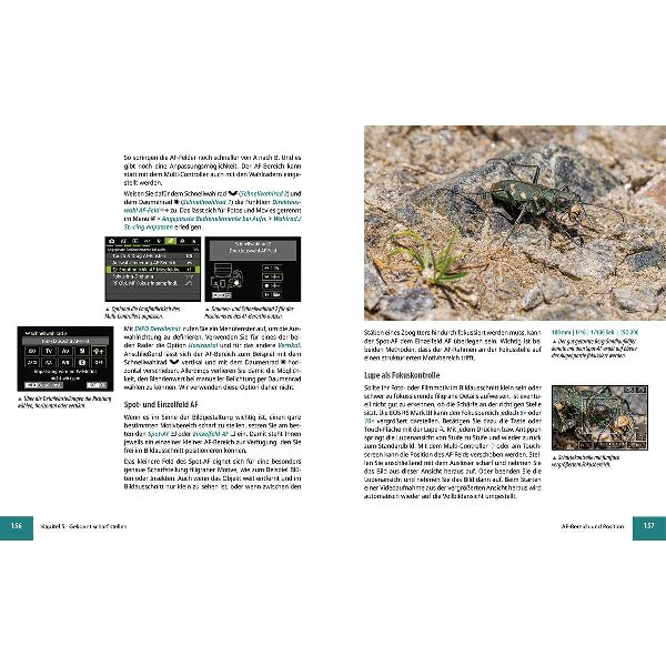 Canon EOS R6 Mark III - Das umfangreiche Praxisbuch zu Ihrer Kamera