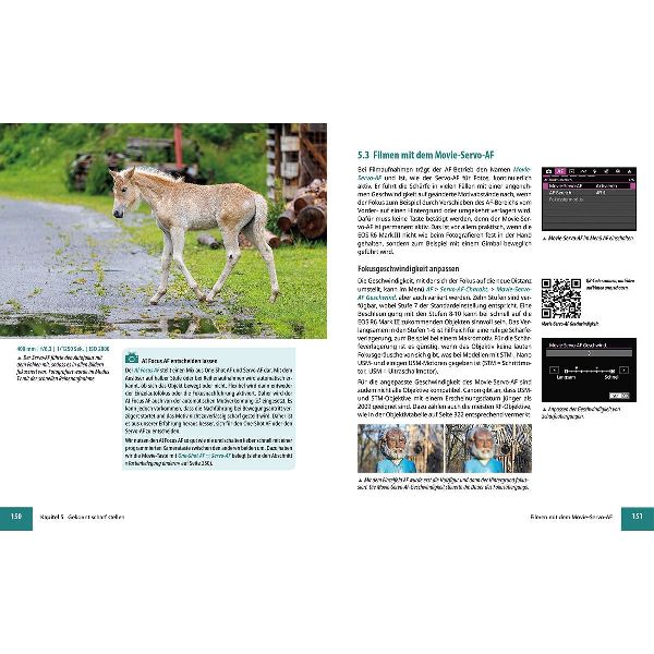 Canon EOS R6 Mark III - Das umfangreiche Praxisbuch zu Ihrer Kamera