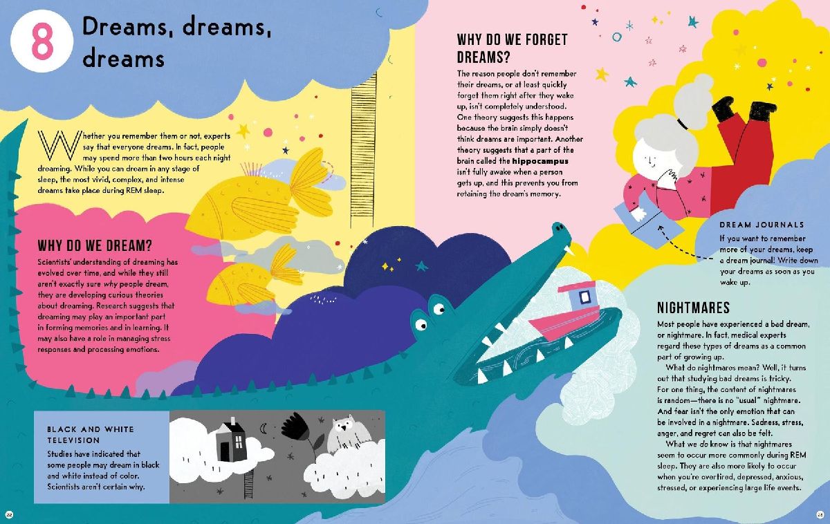 The Mysterious Science of Sleep