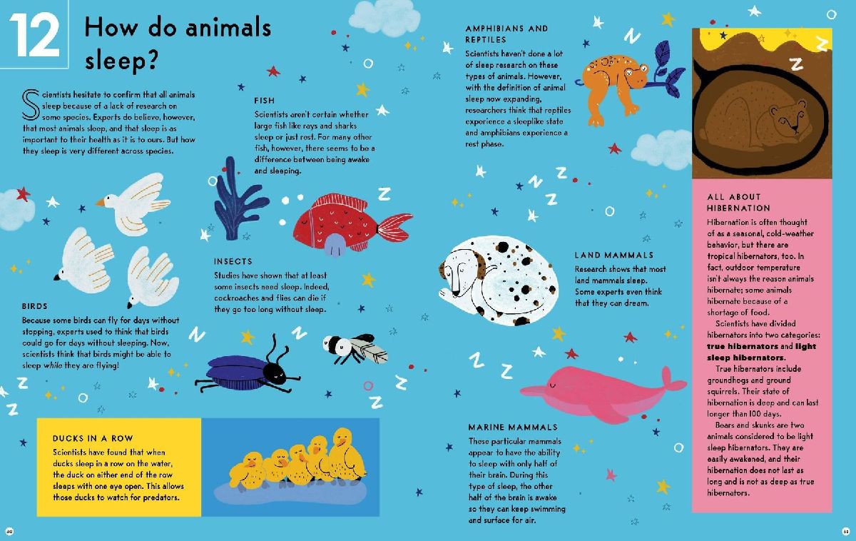 The Mysterious Science of Sleep
