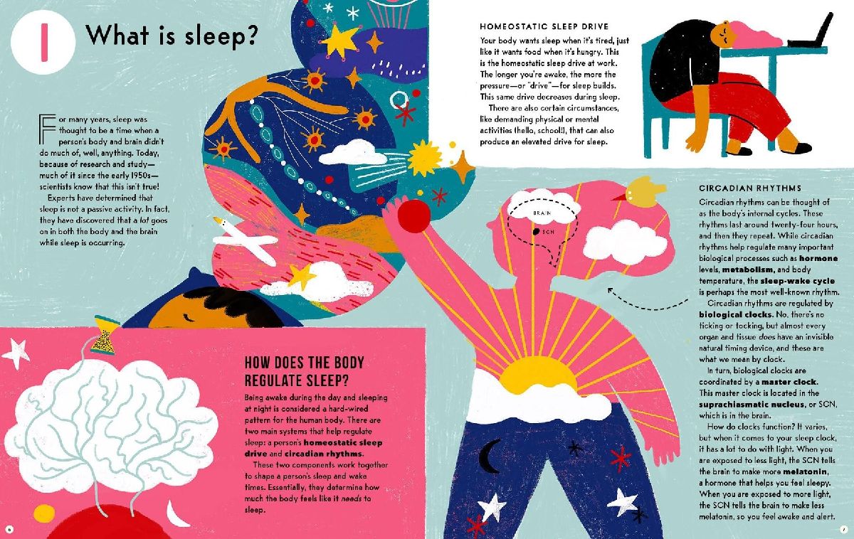 The Mysterious Science of Sleep
