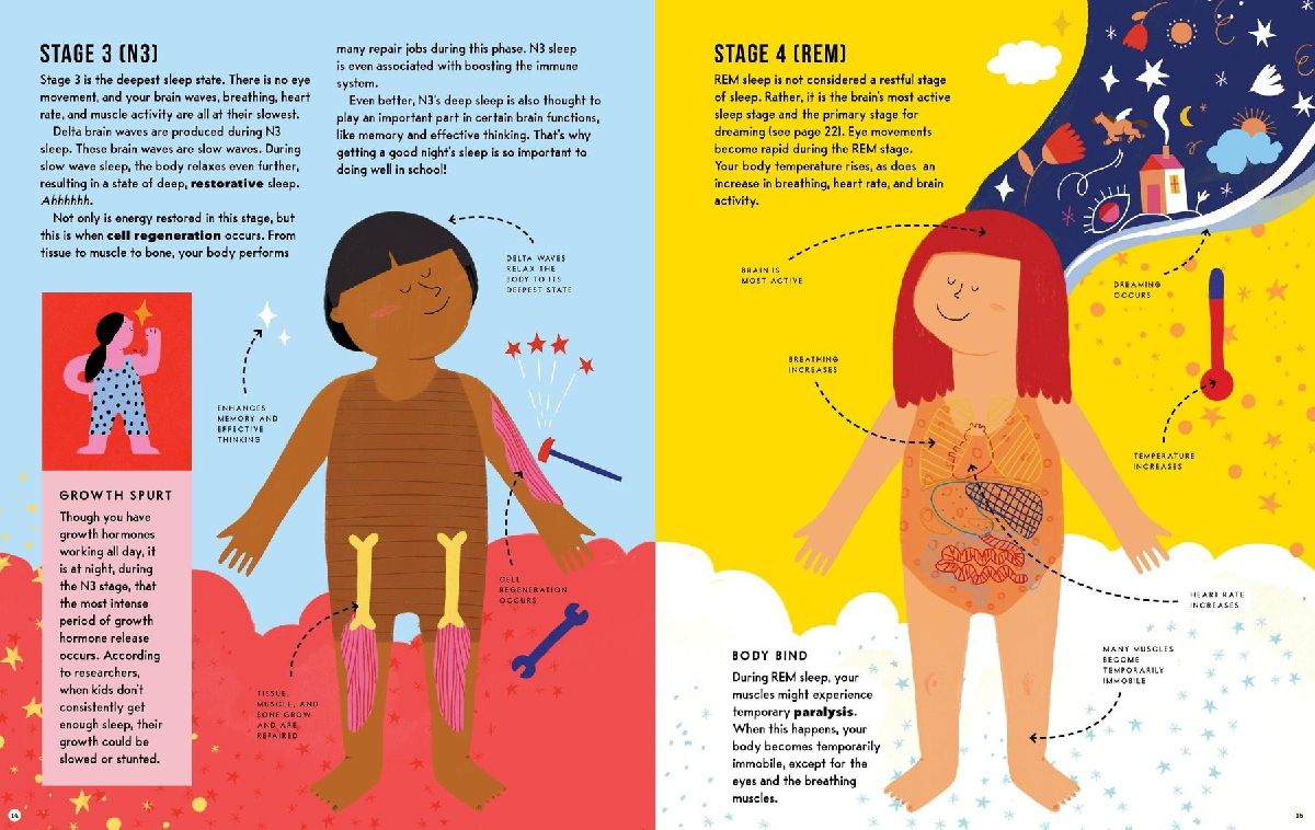 The Mysterious Science of Sleep
