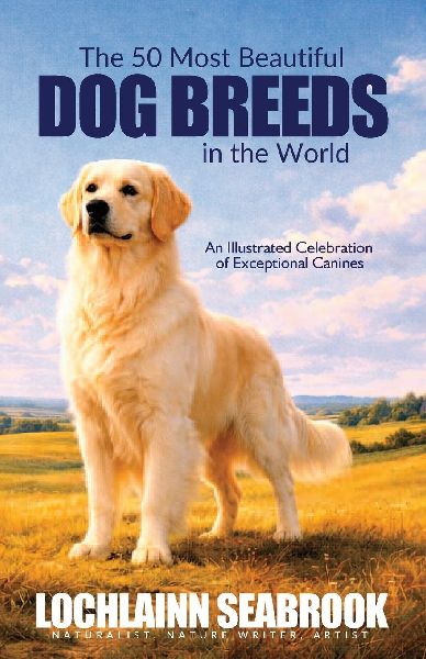 The 50 Most Beautiful Dog Breeds in the World