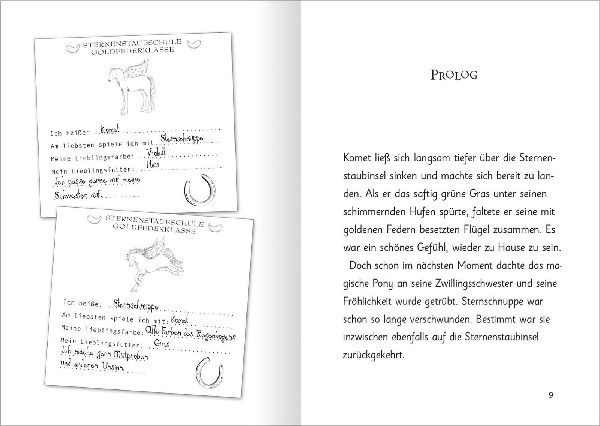 Zauberponys - Magie auf vier Hufen (Zauberponys)