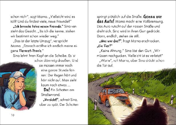 Reiterhof Ponyglück (Band 1) - Ein Pony für Sina