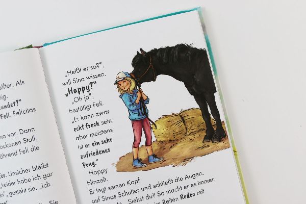 Reiterhof Ponyglück (Band 1) - Ein Pony für Sina