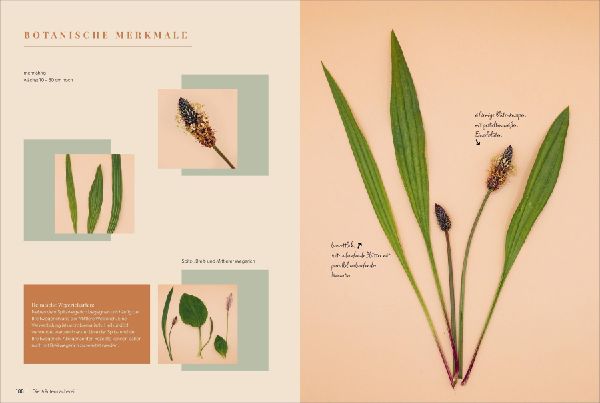 Die Kräutermacherei. Meine Naturapotheke.