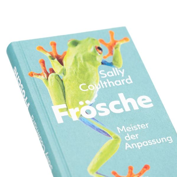 Frösche. Meister der Anpassung