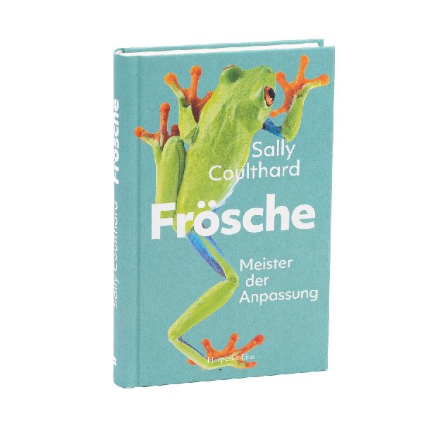 Frösche. Meister der Anpassung