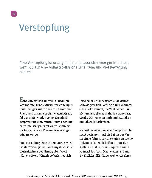 Der kleine Schwangerschafts-Coach