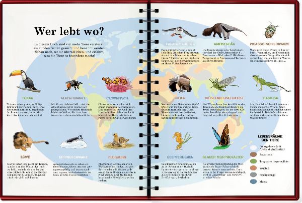 Mein riesengroßes WimmelSuchBuch: Tiere in aller Welt