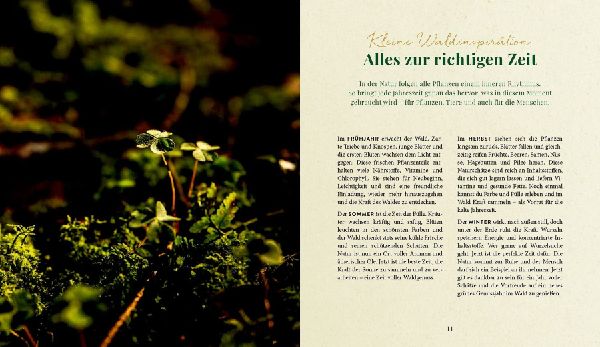 Waldgenuss für dich