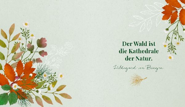 Waldgenuss für dich