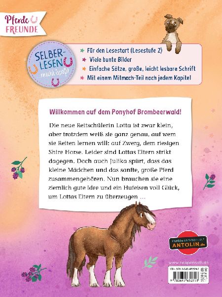 Ponyhof Brombeerwald (Leseanfänger, 