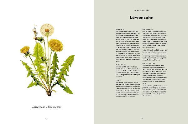 Das Wald-Kochbuch