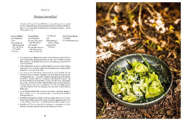 Das Wald-Kochbuch
