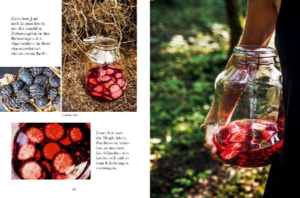 Das Wald-Kochbuch