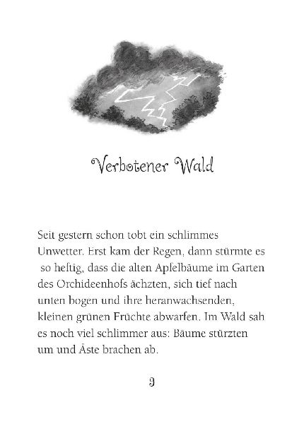 Ponyherz 24: Ein Fohlen sucht eine Familie