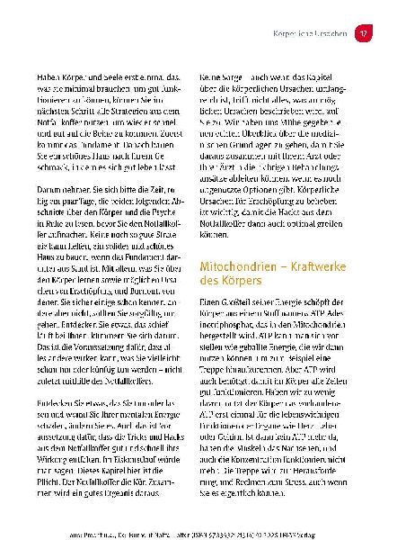 Der Burnout-Notfallkoffer
